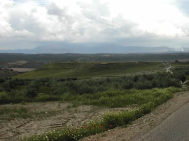 Entorno de C&aacute;stulo