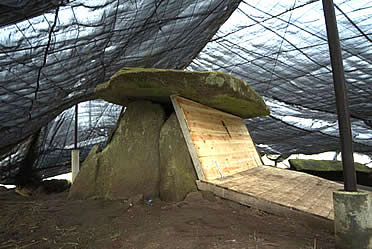 Protecci&oacute;n del Dolmen de Dombate