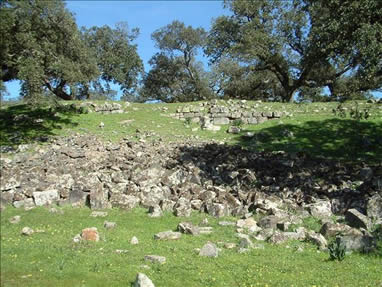 Yacimiento de Nert&oacute;briga