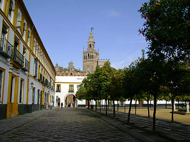 El hist&oacute;rico Patio de Banderas sevillano, lugar del hallazgo